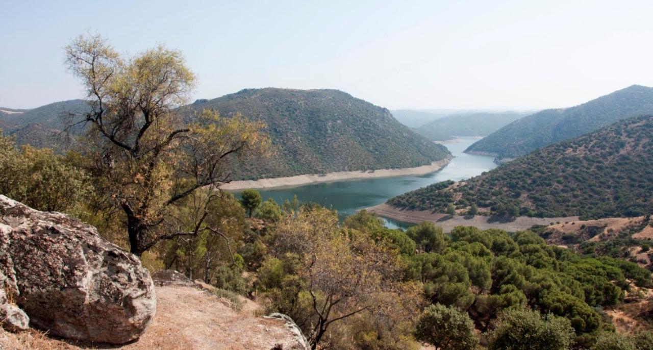 Alojamiento Rural Dehesa La Estancia Andújar Kültér fotó
